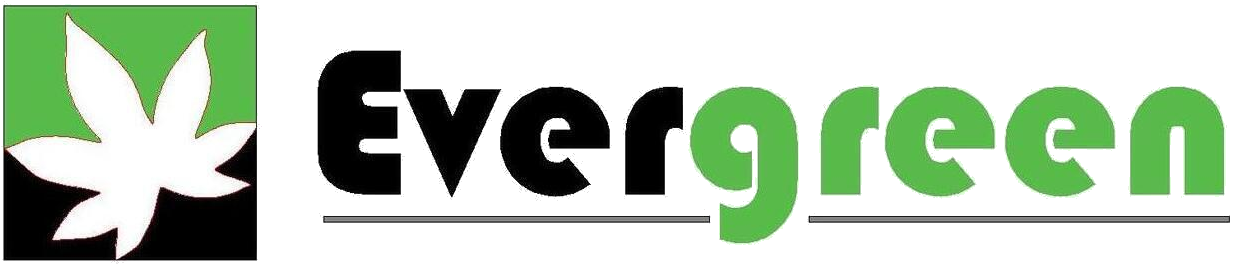 Evergreen Solars Energy