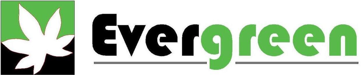 Evergreen Solars Energy